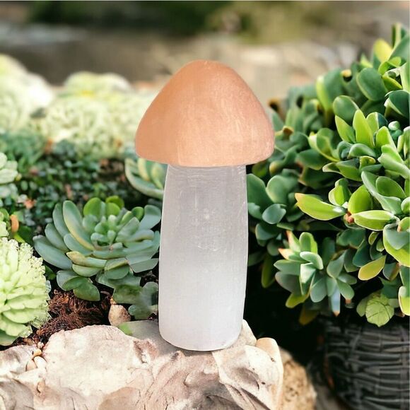 Selenite‎ Crystal Mushroom Carving - Picture 1 of 11